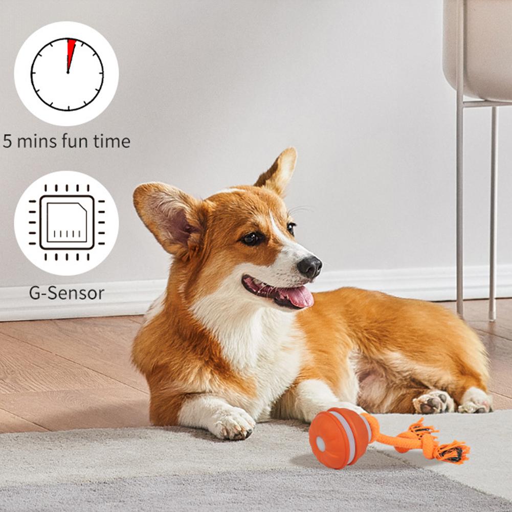 Bola para mascotas para perros - Automatic Moving Dog Ball reseña y precio