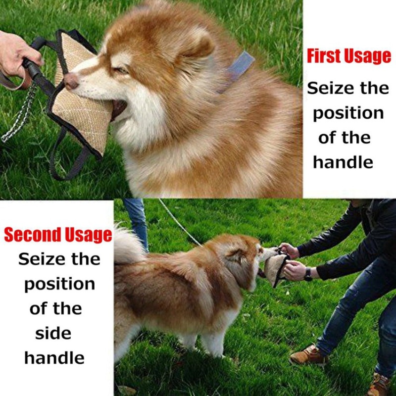 Juguete Resistente para Morder - Interactive Squeaky Plush Dog Toy reseña y precio
