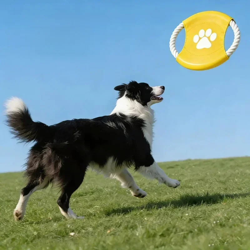 Juguete interactivo de cuerda  - Flying Disc Dog Training Toy reseña y precio