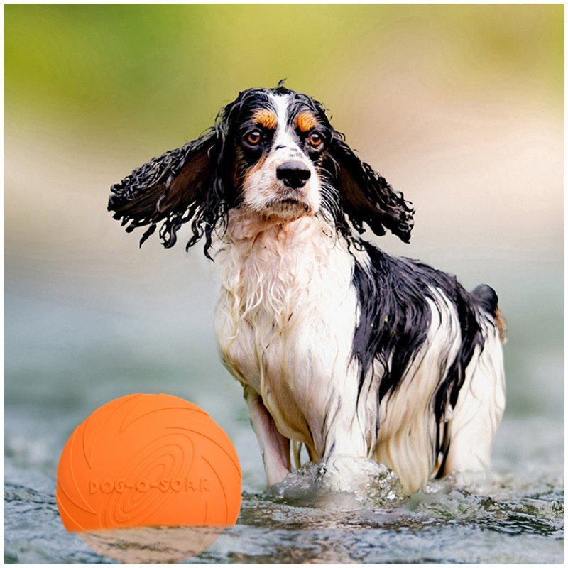 Juguete interactivo de silicon - Flying Disc Dog Training Toy reseña y precio