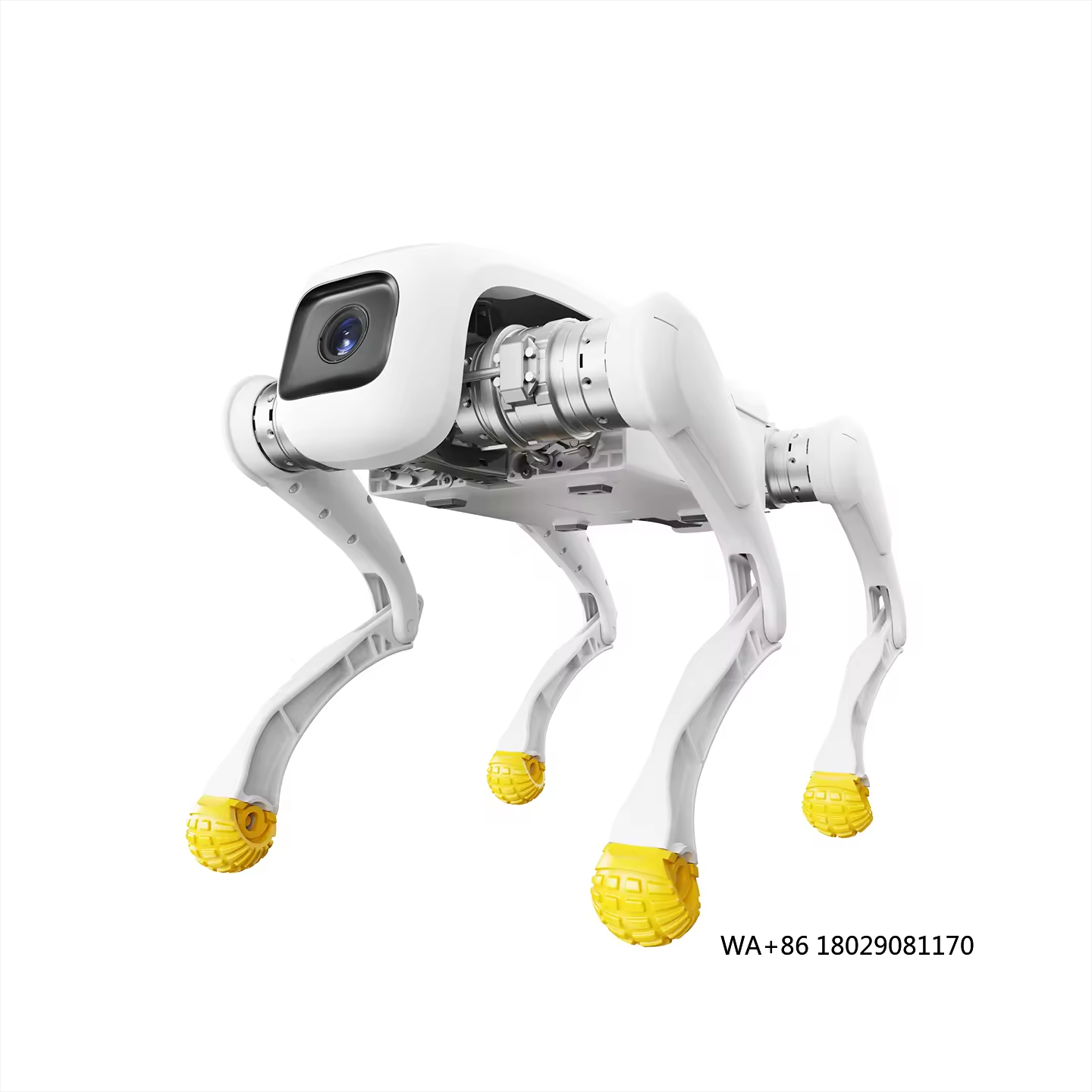 Robot para perros de diseño, j - Dog Toys reseña y precio