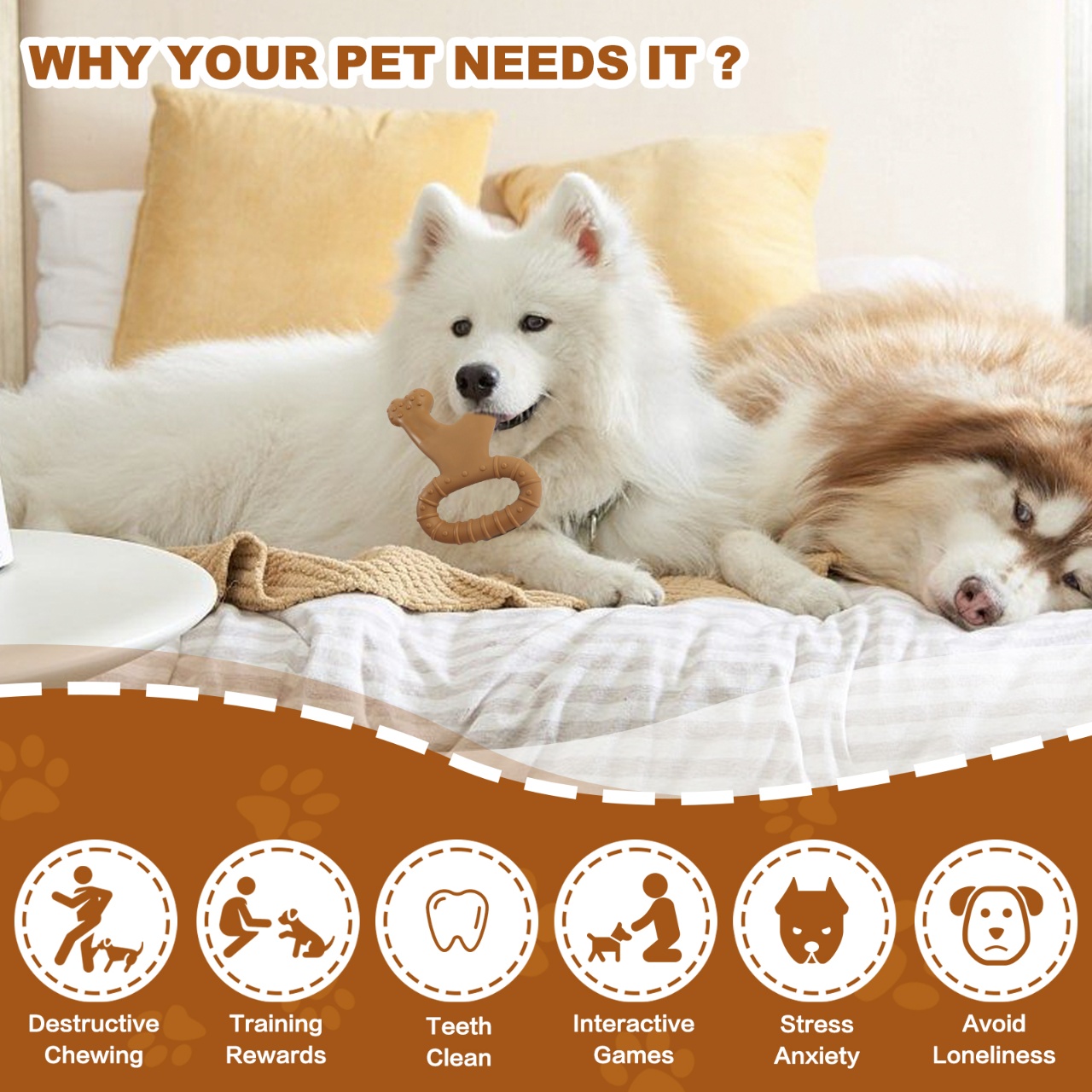 Juguete masticable interactivo - Teeth Cleaning Dog Chew Bone reseña y precio