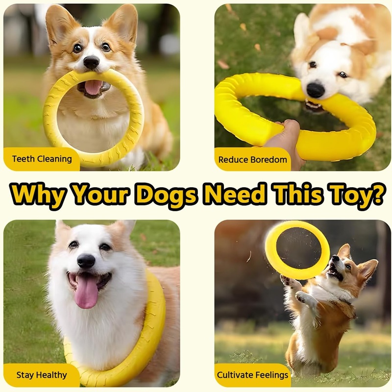 Juguetes para perros, discos v - Indestructible Dog Chew Toy reseña y precio
