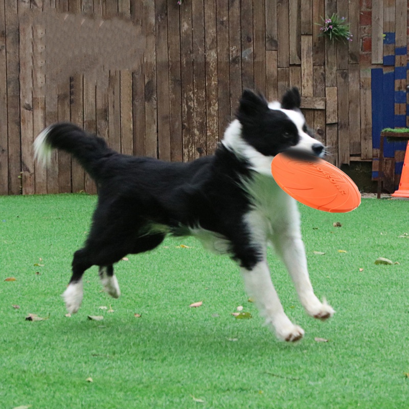 Platillo volador de silicona i - Indestructible Dog Chew Toy reseña y precio
