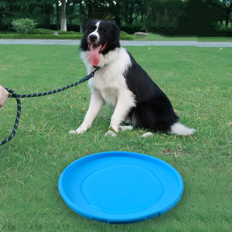 Platillo volador de silicona i - Indestructible Dog Chew Toy reseña y precio